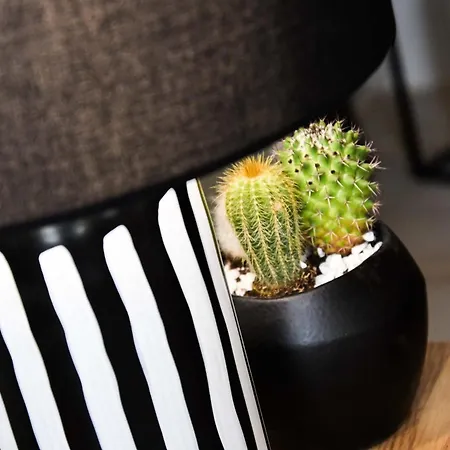 בית נופש Les Rives Champenoises