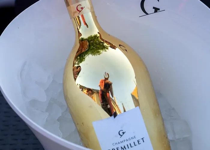 Les Rives Champenoises Bord De Seine Buxeuil (Aube)